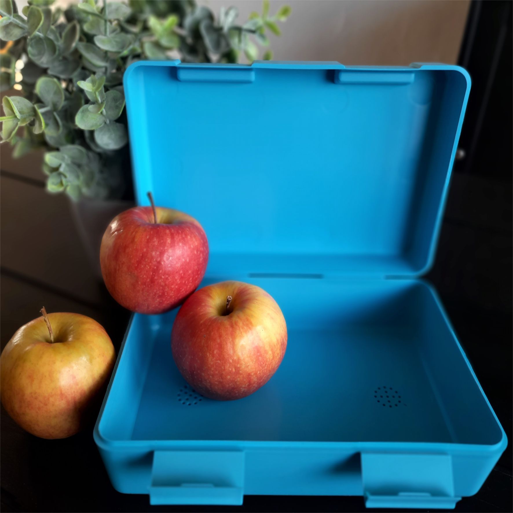 Brotzeitbox / Lunchbox "Ich bin nicht stur, sondern meinungsstabil"
